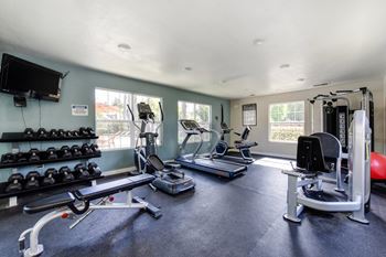 A well-equipped home gym with a variety of exercise equipment.